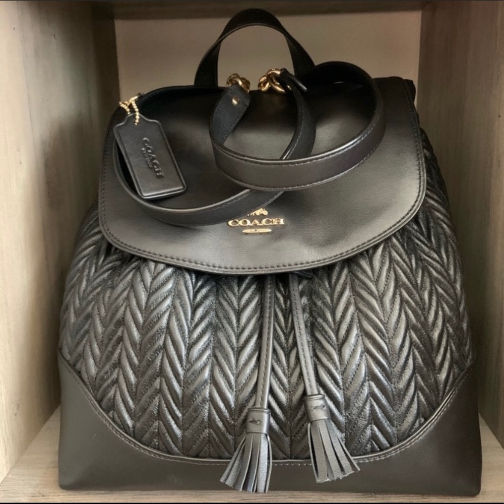 COACH Leather Backpack